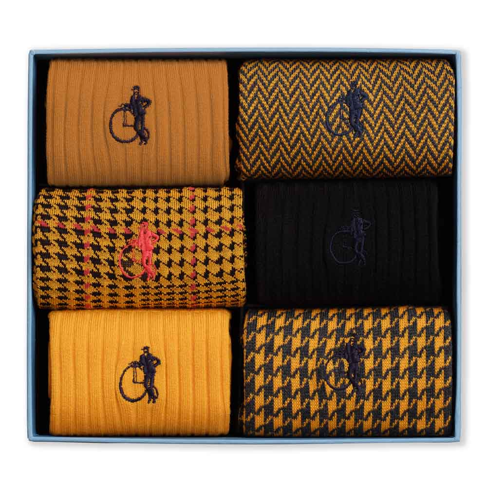 Dash of Class, Dijon, 6 - Pair Box - London Sock Company