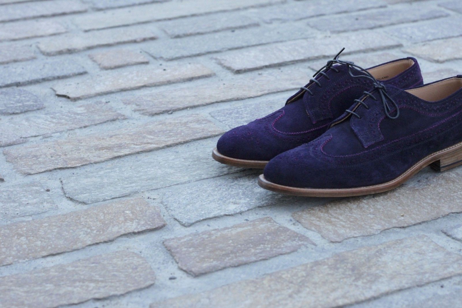 Long wing brogue, Navy & Purple stitch in Suede
