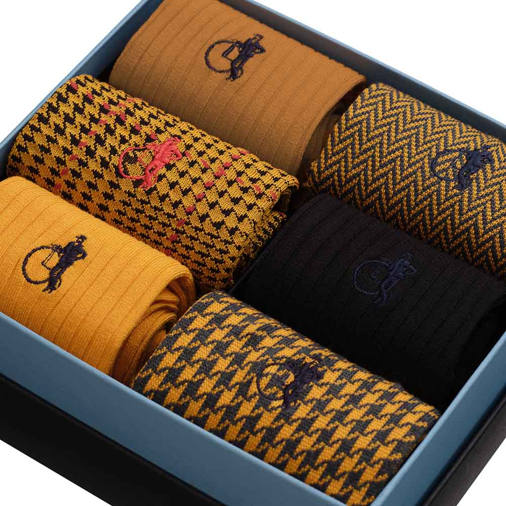 Dash of Class, Dijon, 6 - Pair Box - London Sock Company