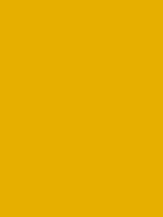 Yellow coloured rectangle