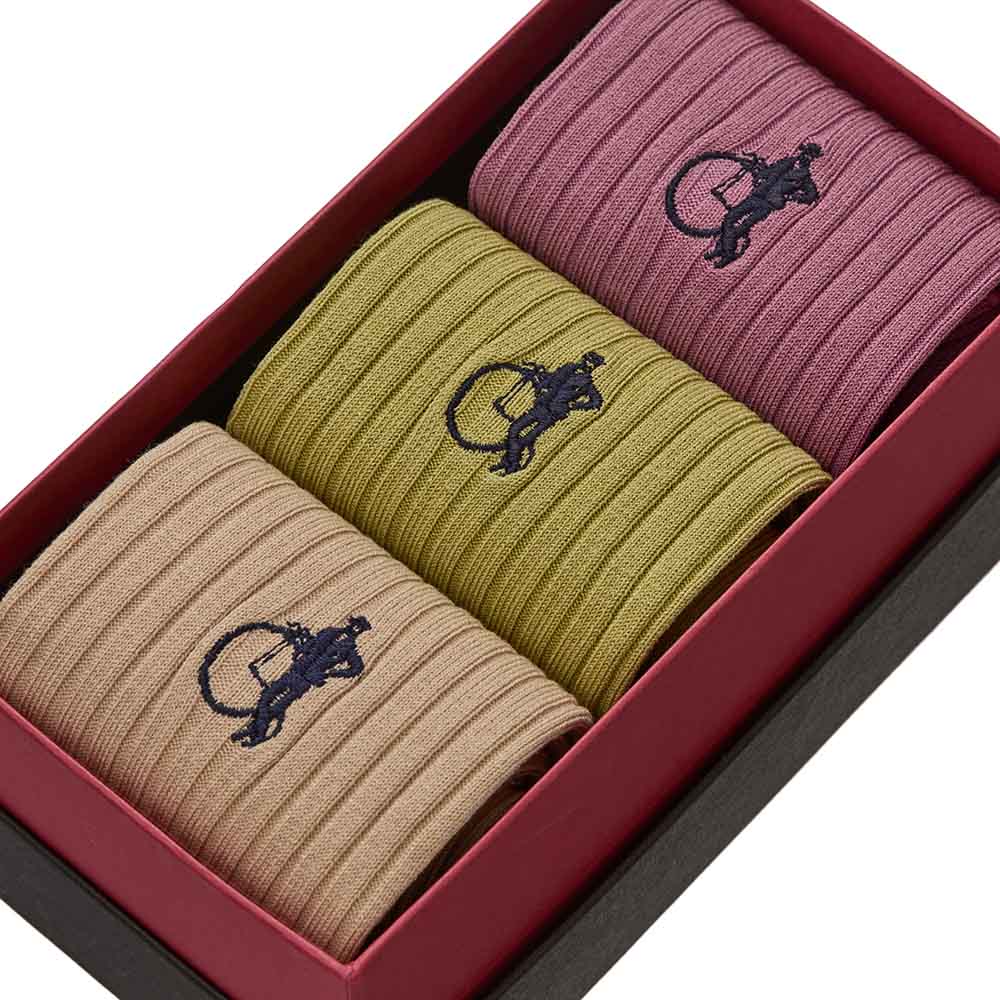 Fresh Steps, 3 - Pair Box - London Sock Company