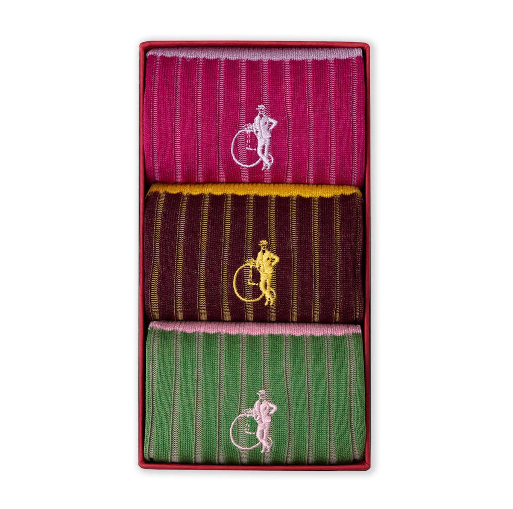 Studio I Michael Fisher 3 Pair Box